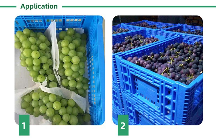 Detail-0301 Detail-0301